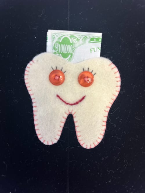 Tooth Fairy Pocket 23