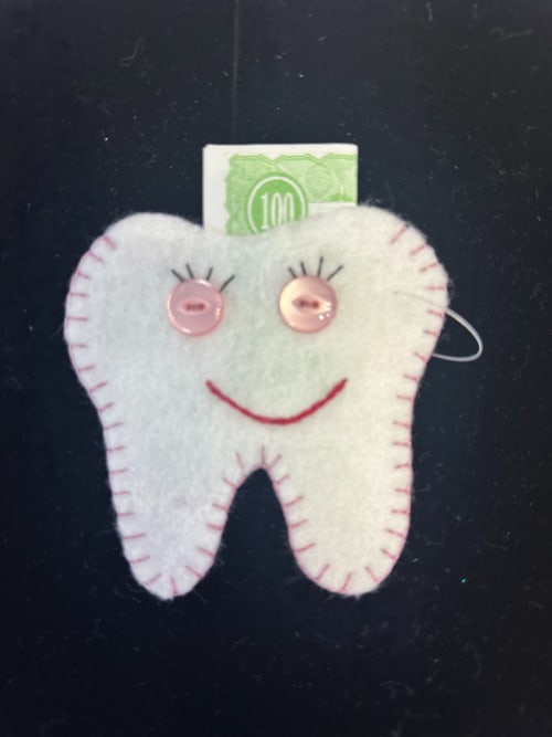 Tooth Fairy Pocket 19