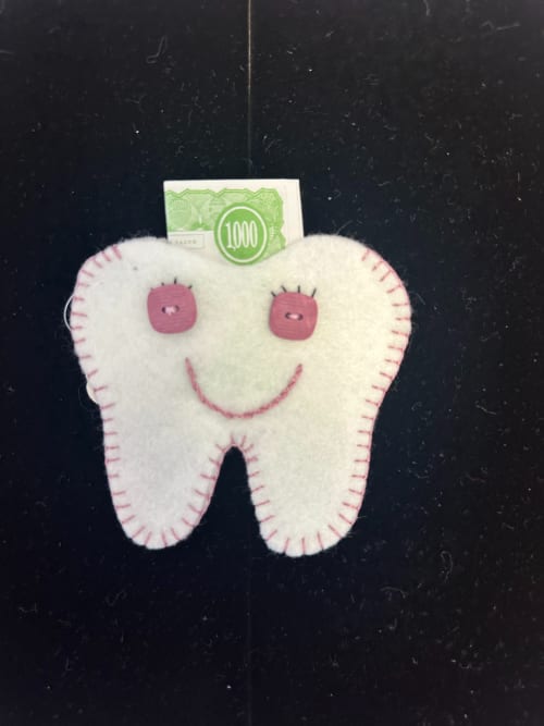 Tooth Fairy Pocket 24