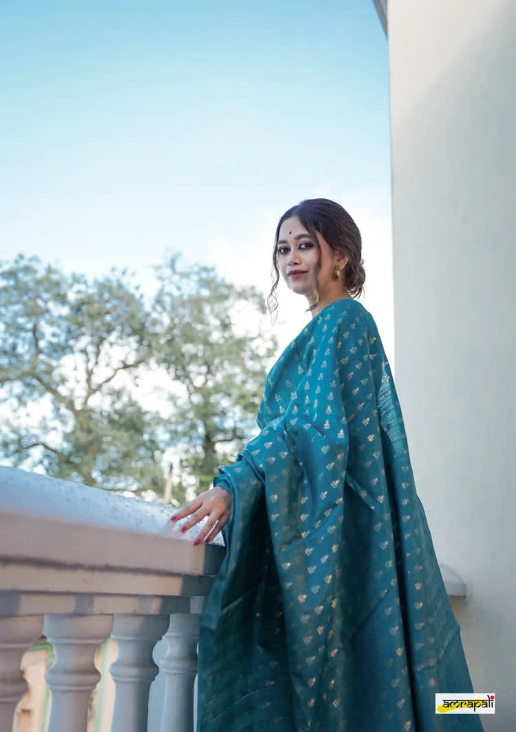 Banarasi Soft Silk Saree photo 2