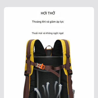 76d0ba3f-e91d-4147-b676-e0d655ef1e00