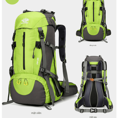 translated_image_vi (22)