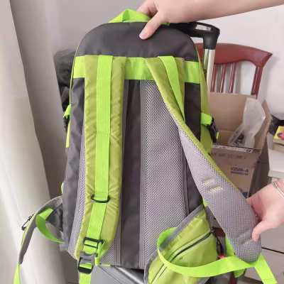 O1CN010bPlw62GSTDTRhkBD_!!4611686018427384806-0-rate