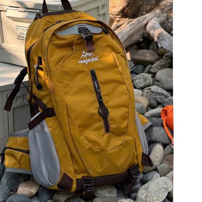 z7055861806038_689b521bd52257fd84ddc0eea9274033