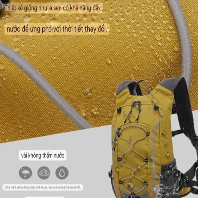 z6747341758595_35589b85bcaa9ec4b75d9311b0897301