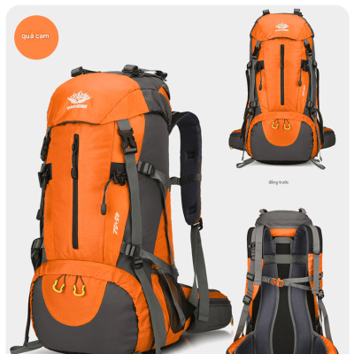 translated_image_vi (25)