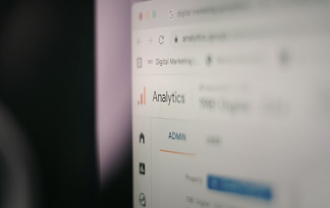 Organic search analytics on a monitor