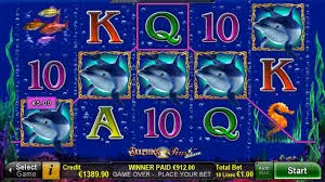 Dolphin's Pearl deluxe slot demo version gameplay preview screen