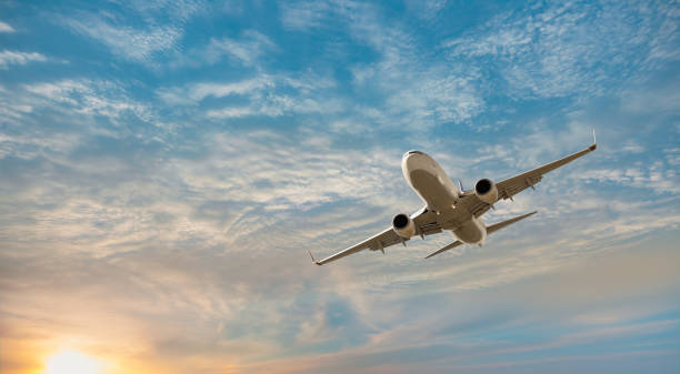 Travel Startup Funding Slows in 2025, But Hotel Tech Still Draws Big Capital