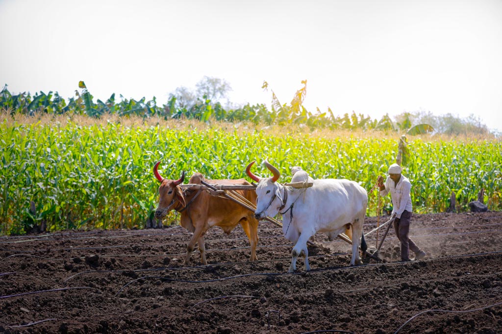 Rural community development