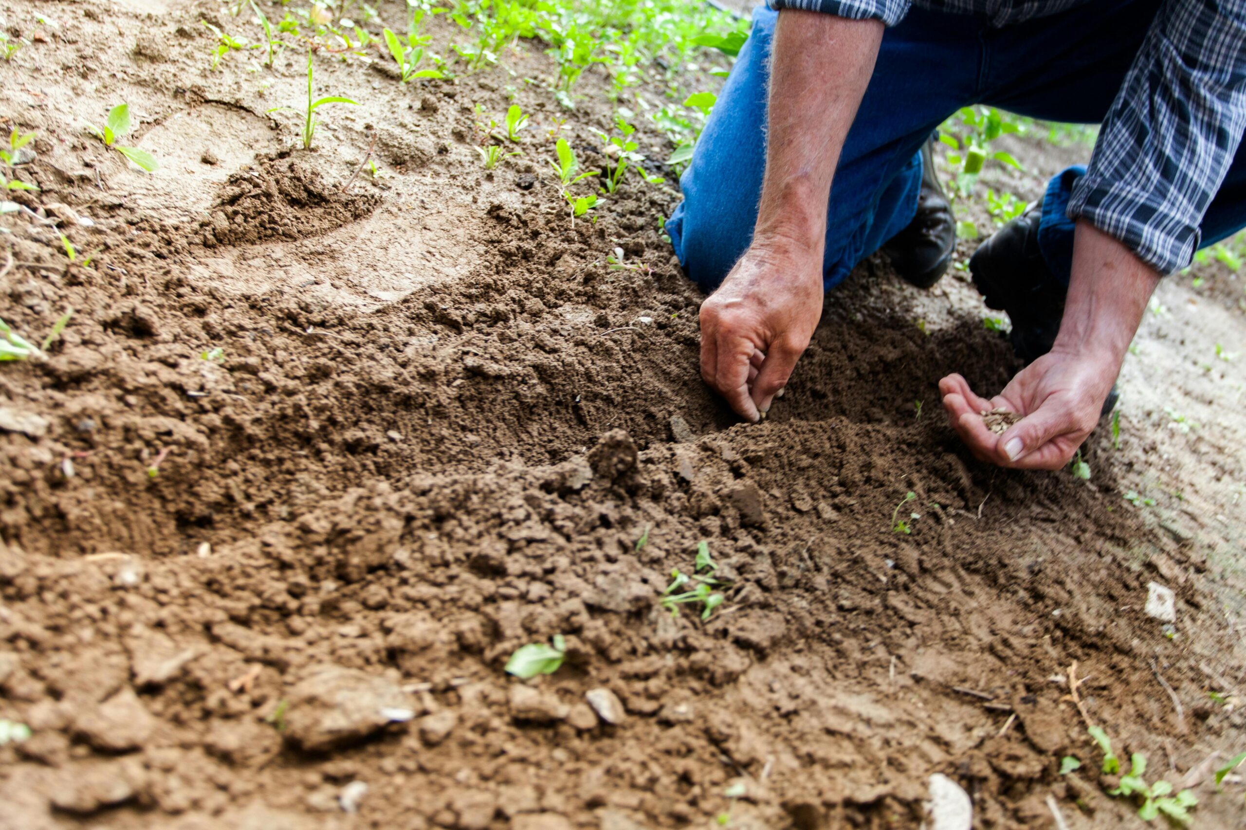 Sustainable farming practices