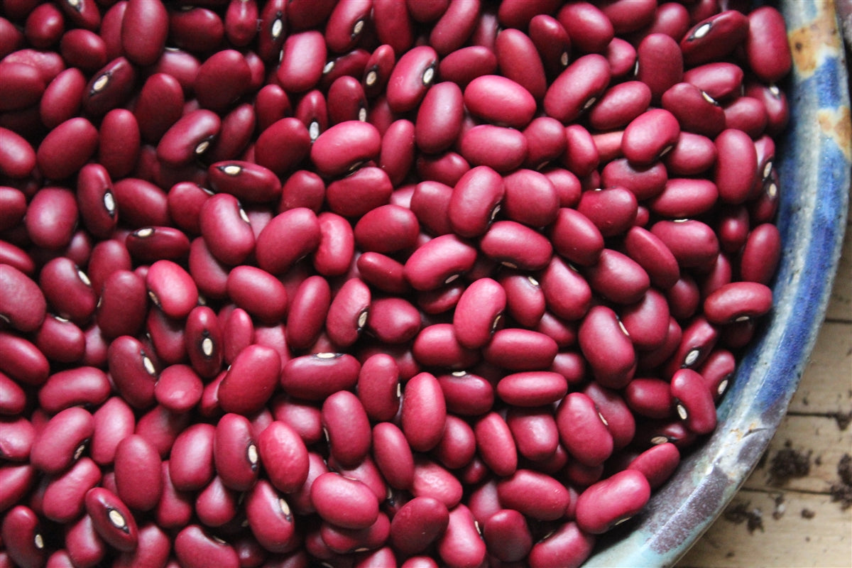 Beans