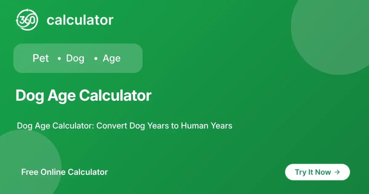 Dog Age Calculator Feature Image 360 Calculator feature image for Dog Age Calculator to convert dog years to human years based on breed size.