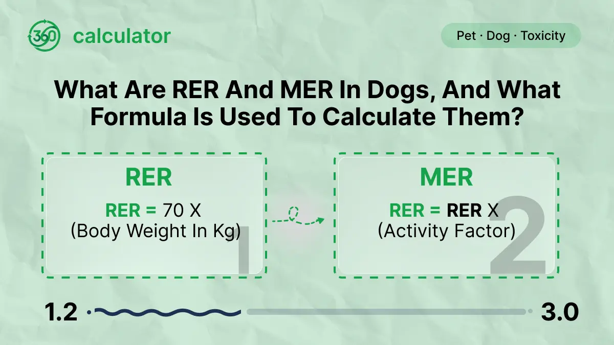 RER and MER Formula for Dogs Infographic explaining Resting Energy Requirement (RER) and Maintenance Energy Requirement (MER) formulas for dogs, showing how daily calorie needs are calculated based on body weight and activity level.