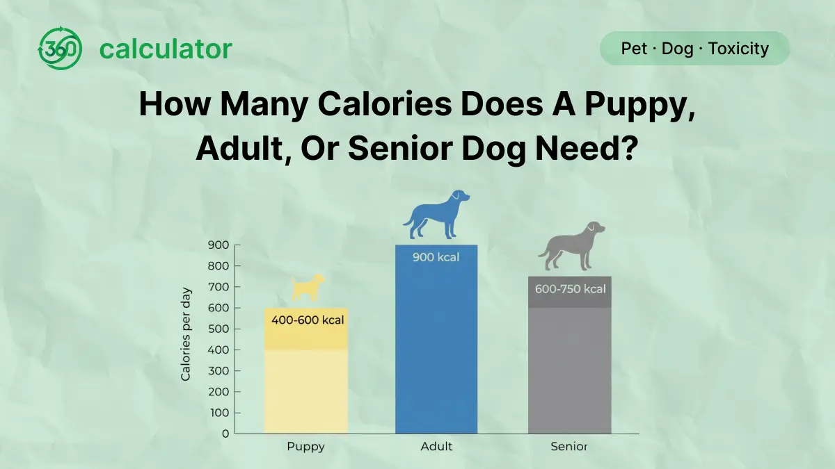 Daily Calorie Needs for Puppy, Adult, and Senior Dogs Comparison chart showing the daily calorie requirements for puppies, adult dogs, and senior dogs based on body weight, life stage, and activity level.
