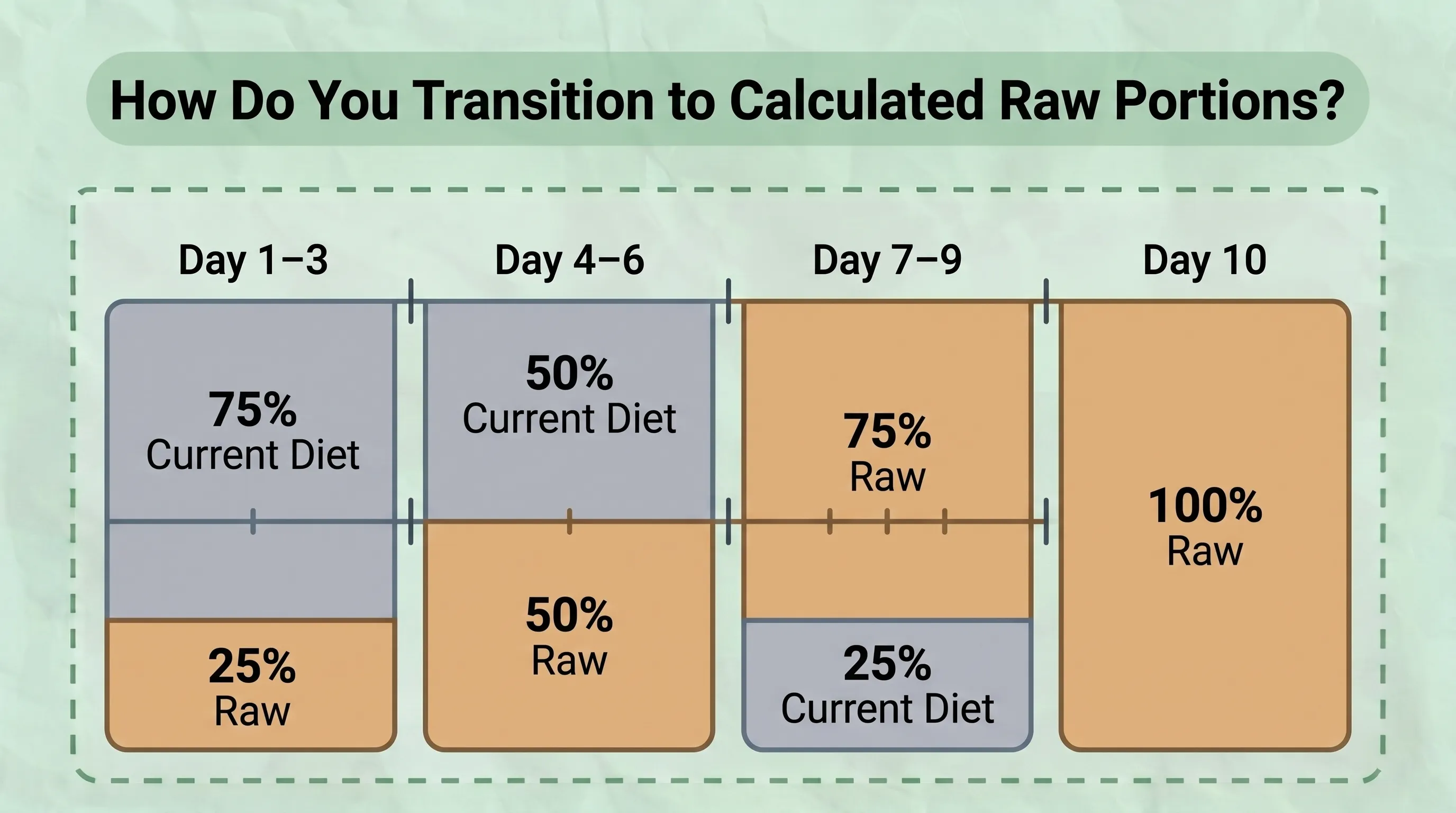 How to Transition to Calculated Raw Dog Food Portions Step-by-step infographic showing how to transition a dog from its current diet to calculated raw food portions by gradually increasing raw meals while monitoring portion sizes and digestive health.