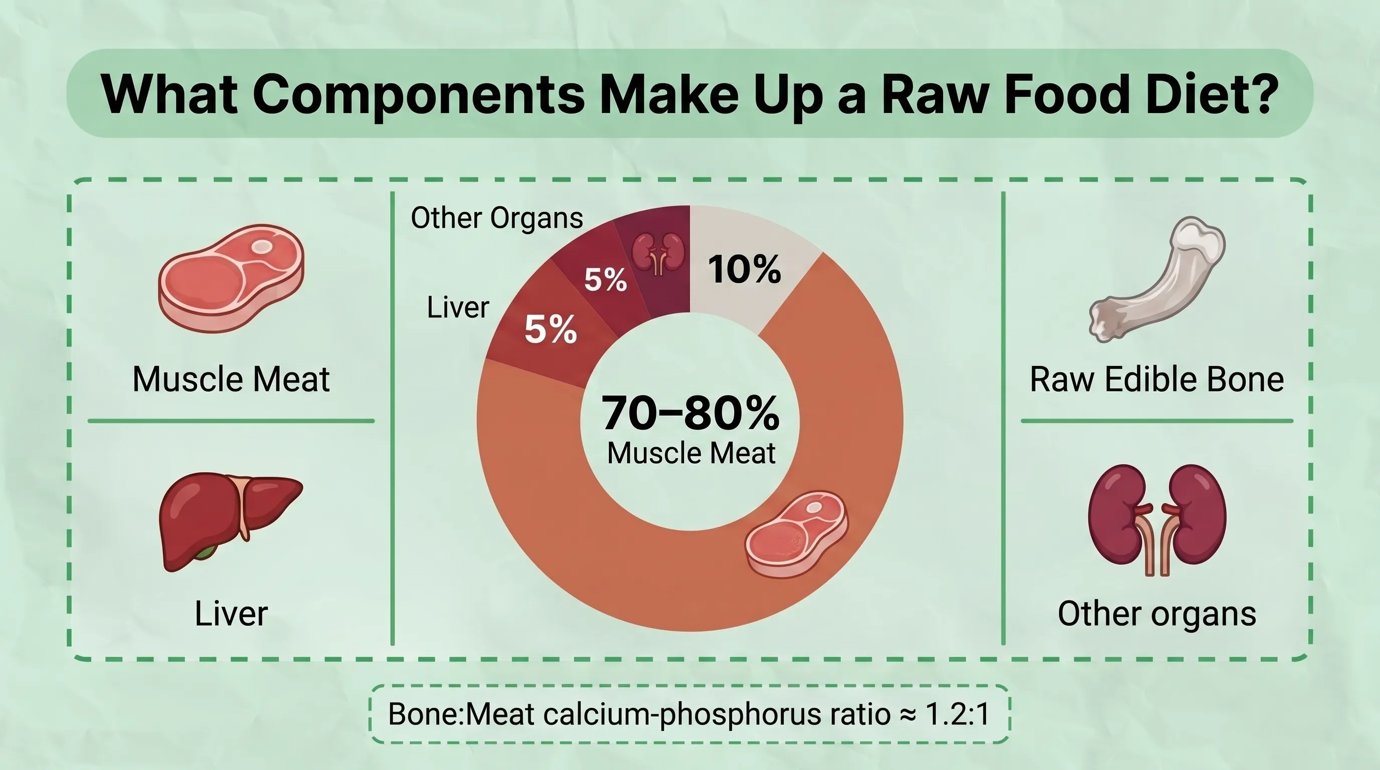 Components of a Raw Food Diet for Dogs Diagram illustrating the main components of a balanced raw food diet for dogs, including muscle meat, raw edible bones, organs, vegetables, and optional supplements in appropriate proportions.