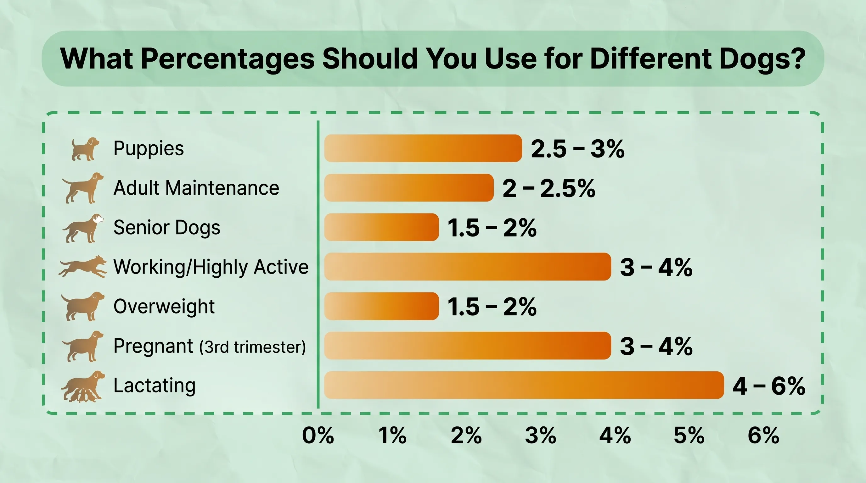 Raw Dog Food Percentages for Different Dogs Chart showing recommended raw food feeding percentages for puppies, adult dogs, senior dogs, and highly active dogs based on body weight and life stage.