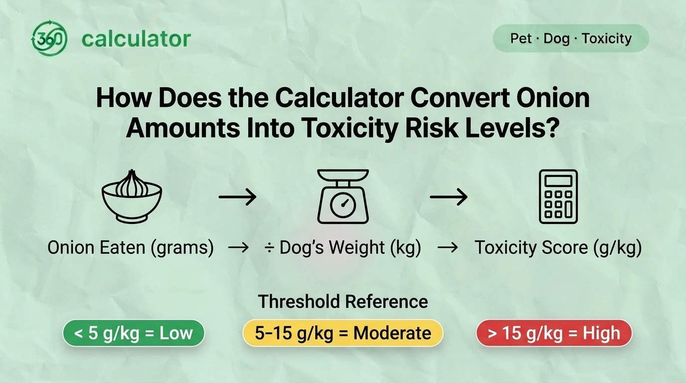 Infographic illustrating how a dog onion toxicity calculator converts the amount of onion consumed into low, moderate, or high toxicity risk levels by factoring in the dog's body weight and established veterinary toxic dose thresholds.