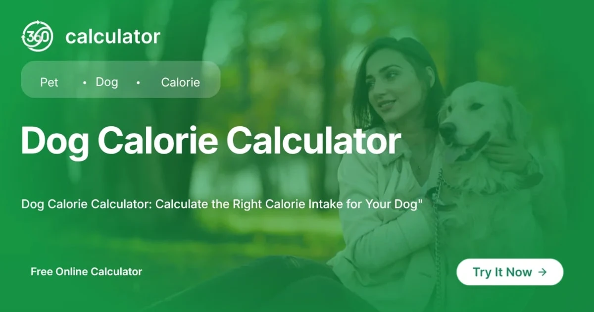 Dog Calorie Calculator Featured Image Dog Calorie Calculator online tool interface by 360Calculator