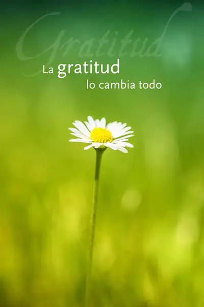Portada del libro: La Gratitud Lo Cambia Todo