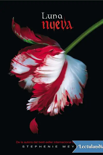 Portada del libro: Luna Nueva Stephenie Meyer