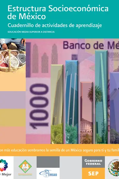 Portada del libro: Estructura SocioeconóMica De MéXico