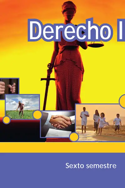 Portada del libro: Derecho Ii Min