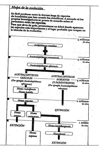 Portada del libro: Genealogiasapiens