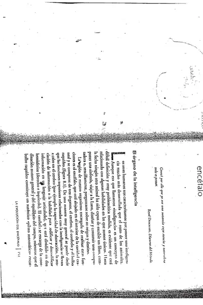Portada del libro: Laeveluciondelencefalo