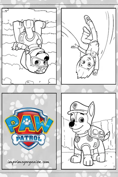 Portada del libro: Libro Patrulla Canina