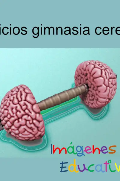 Portada del libro: Ejercicios Gimnasia Cerebral
