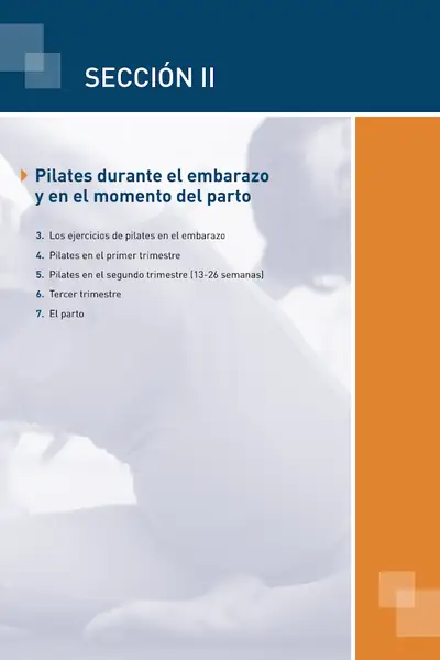 Portada del libro: CapíTulo 1t Muestra Embarazo
