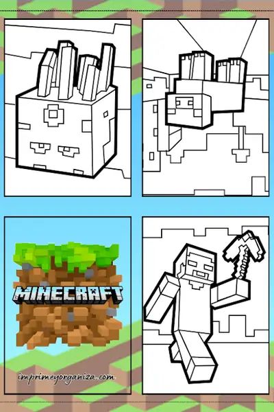 Portada del libro: Libro Minecraft