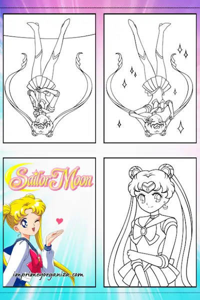 Portada del libro: Libro Sailor Moon