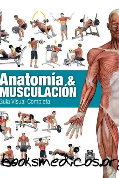Portada del libro: Anatomia Y MusculacióN GuíA Visual Completa