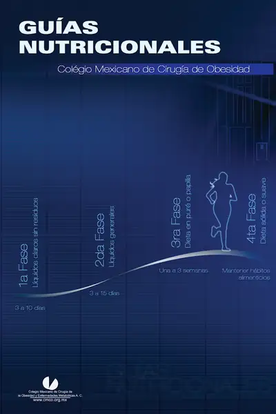 Portada del libro: GuíAs Nutricionales 2010