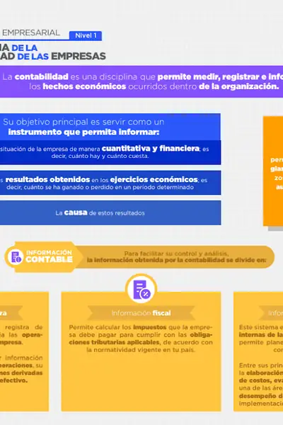 Portada del libro: Importancia De La Contabilidad De Las Empresas Otros