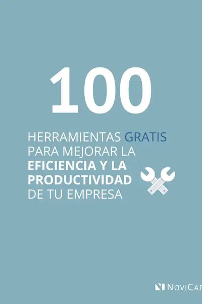 Portada del libro: 100 Herramientas Gratis Para Mejorar Eficiencia Y La Productividad De Tu Empresa Otros