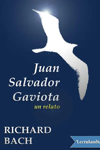 Portada del libro: Juan Salvador Gaviota Richard Bach