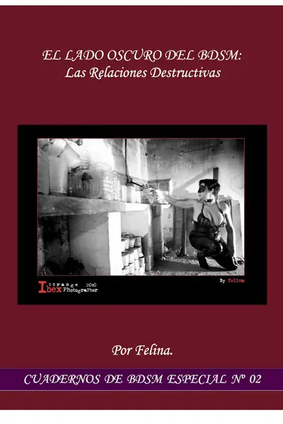 Portada del libro: 48 El Lado Oscuro Bdsn