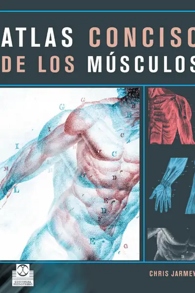 Portada del libro: Atlas Conciso De Los Musculos