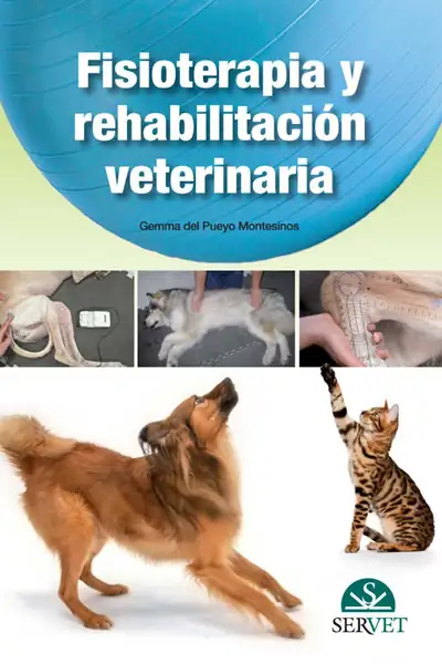Portada del libro: Fisioterapia Y RehabilitacióN Veterinaria