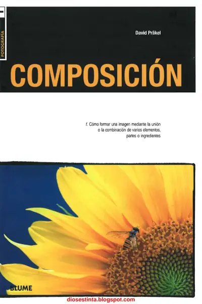 Portada del libro: Composicion David Prakel