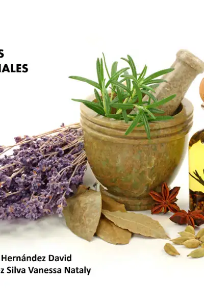 Portada del libro: Plantas Medicinales Seminario Silva Nataly