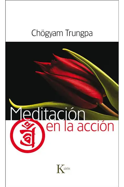 Portada del libro: MeditacióN En La AccióN