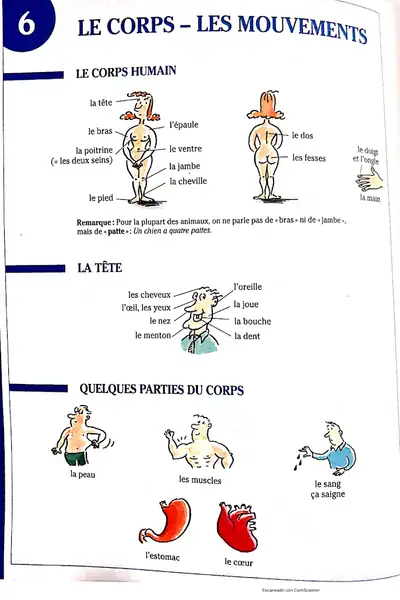 Portada del libro: Le Corps