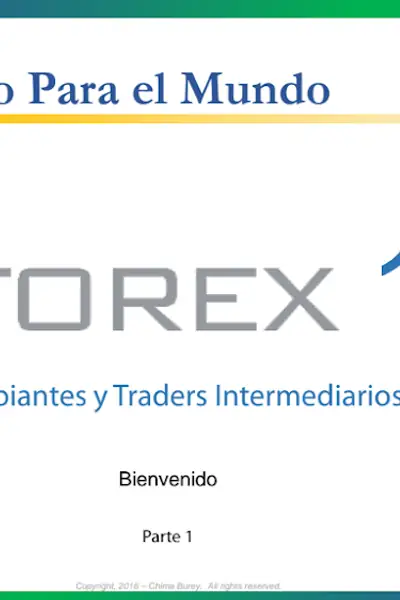 Portada del libro: Forex 101 1