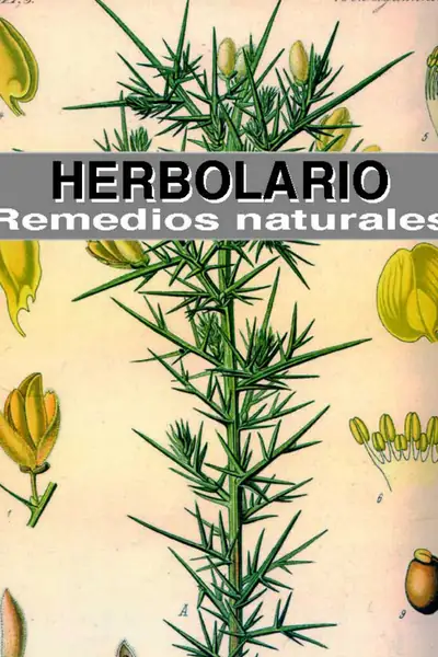 Portada del libro: ▪︎Herbolario Remedios Naturales