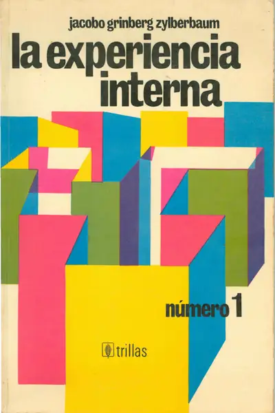 Portada del libro: 6 La Experiencia Interna